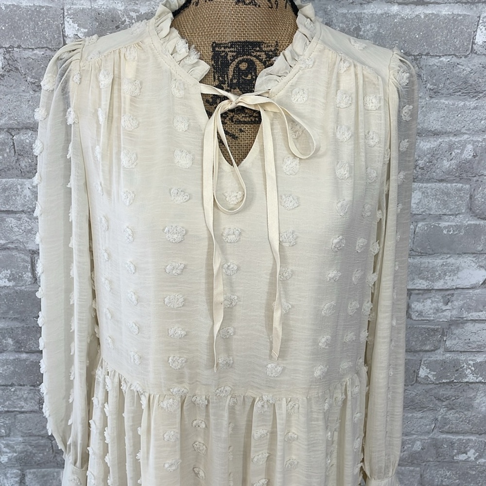Listicle Cream Swiss Dot Mini Dress - Picture 3 of 9